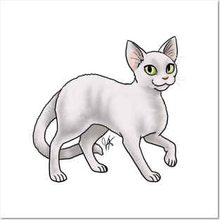 Cat - Devon Rex - White Posters and Art